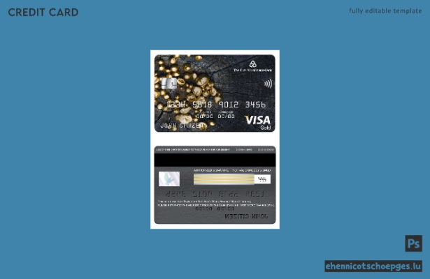 Tadschikistan Die erste Mikrofinanzbank FMFB Visa Gold Card Beispielvorschau